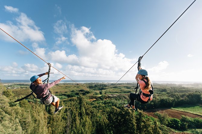 Oahu's North Shore: 8-Line Zipline Adventure - Rappels, bridges, and boardwalks break up the rides