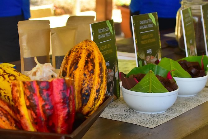 Ocean View Canopy Zip line + Chocolate Experience - Ten cables through the rainforest