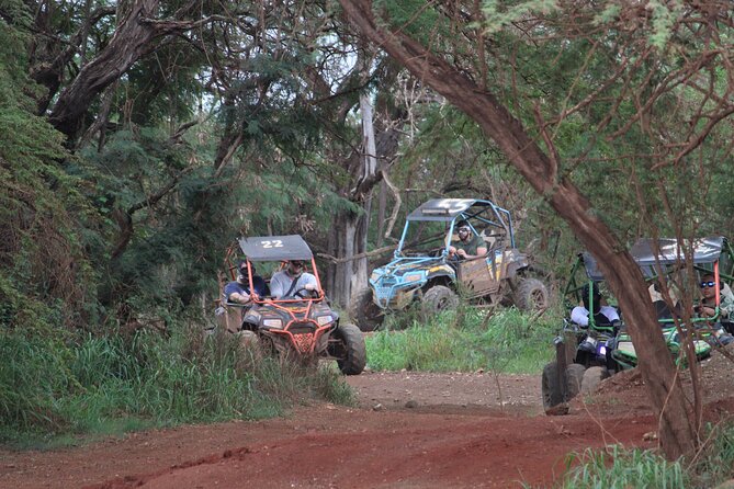 Off-Road ATV & 3 Zipline Combo (Optional Waikiki Shuttle) - Guides make the difference