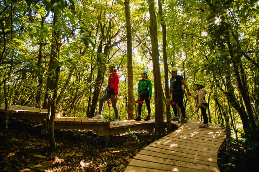 Okere Falls: Zipline over Waterfalls Experience - What the $80 price includes