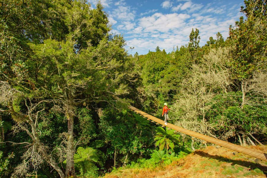 Okere Falls: Zipline over Waterfalls Experience - Getting there and preparing properly