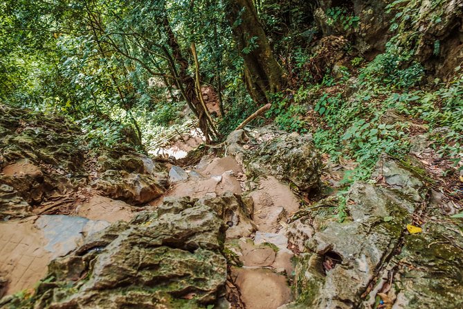 One Day Guided Tour: Kayaking, Zipline & Tubing In The Cave from Vang Vieng - Kayaking 7 kilometers down the Nam Song