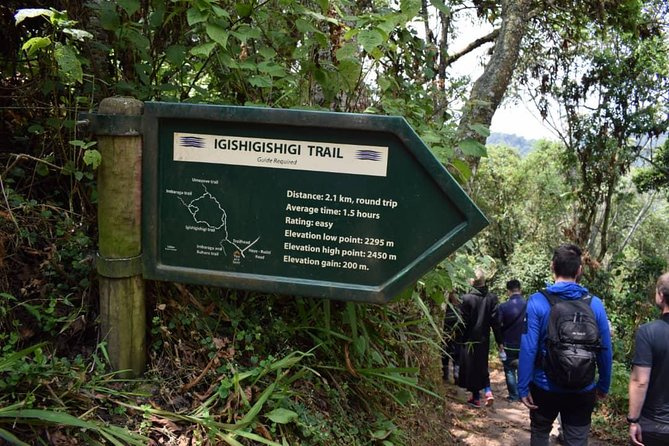 One Day Nyungwe National Park Tour& Canopy walk (2 Pax Min) - Leaving Kigali for a very long day