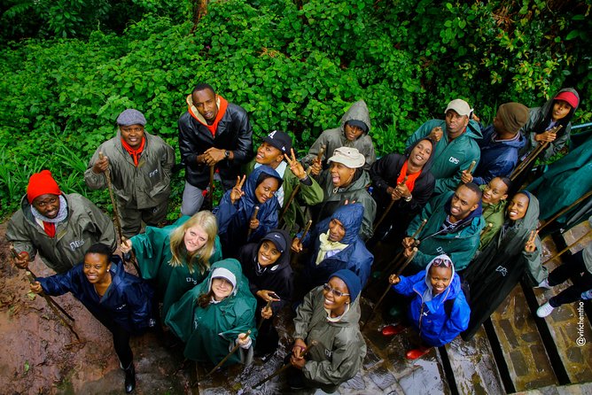 One Day Nyungwe National Park Tour& Canopy walk (2 Pax Min) - What the canopy crossing feels like