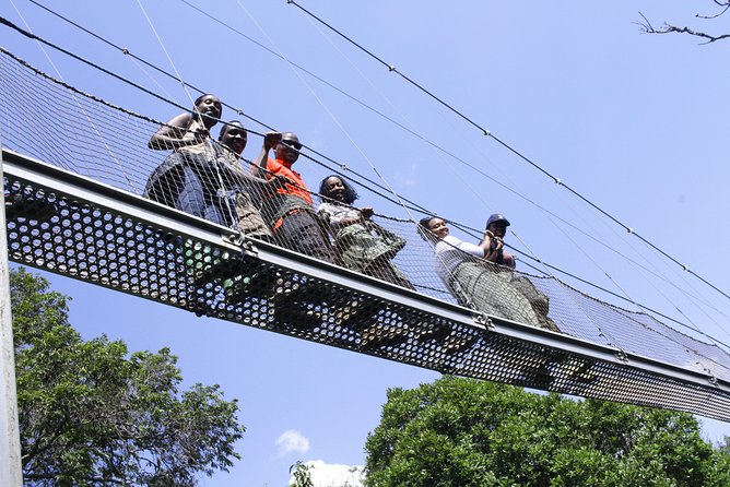 One Day Nyungwe National Park Tour& Canopy walk (2 Pax Min) - What $400 per person really covers