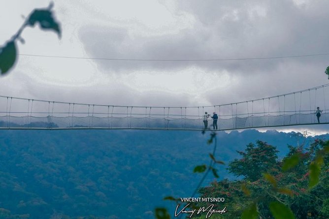 One Day Nyungwe National Park Tour& Canopy walk (2 Pax Min) - The guide and driver make or break the day