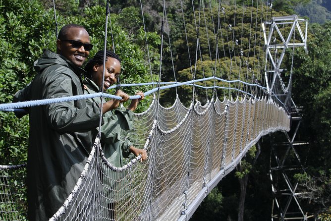 One Day Nyungwe National Park Tour& Canopy walk (2 Pax Min) - Who should book this Nyungwe day trip