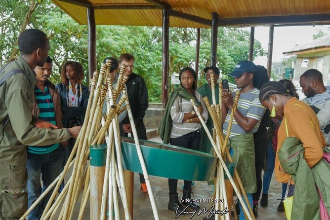 One Day Nyungwe National Park Tour& Canopy walk (2 Pax Min) - Walking the Igishigishigi Trail