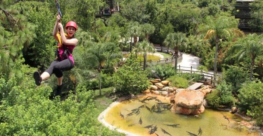 Orlando: Gatorland Zipline Adventure w/ Full-Day Park Access - Five Lines Over Gatorland’s Animal Exhibits