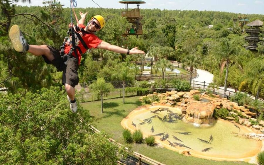 Orlando: Gatorland Zipline Adventure w/ Full-Day Park Access - Flying Above 130 Giant Alligators