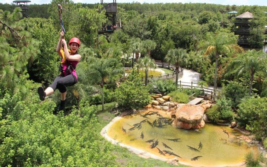 Orlando: Gatorland Zipline Adventure w/ Full-Day Park Access - Launching From Platforms Up to 65 Feet High