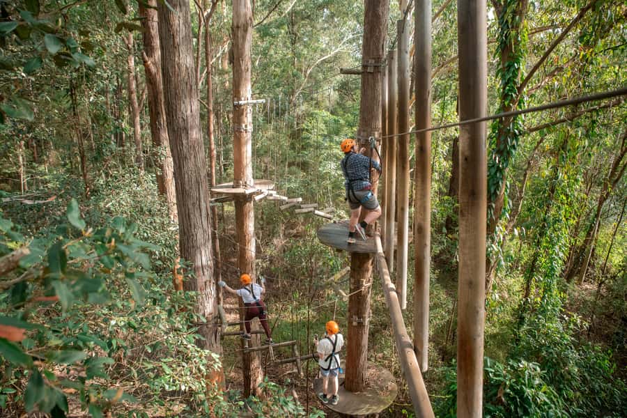 Ourimbah: Central Coast Treetops Adventure Tree Ropes Course - Choosing the right height and challenge
