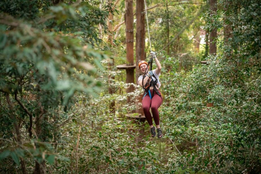 Ourimbah: Central Coast Treetops Adventure Tree Ropes Course - Practical details that affect your day