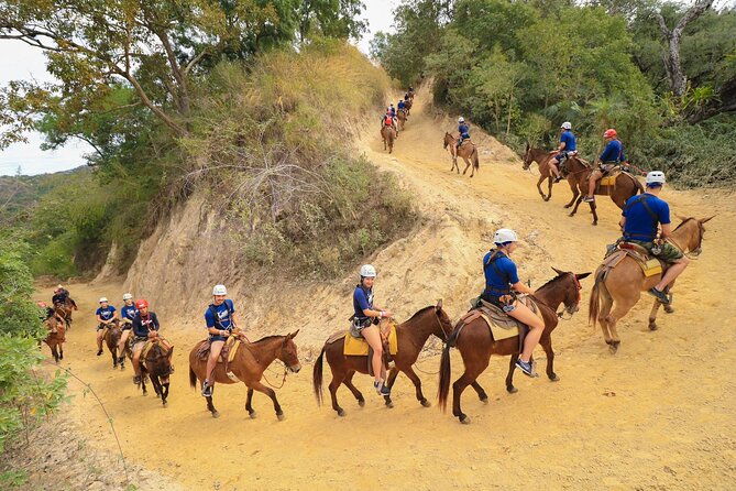 Outdoor Ziplining, Waterfalls & Speed boat in Puerto Vallarta - A mule ride before the first zipline
