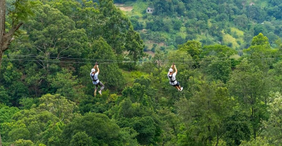 Pai: Jungle Ziplining Adventure with 16 Platforms - Sixteen platforms through jungle and farmland