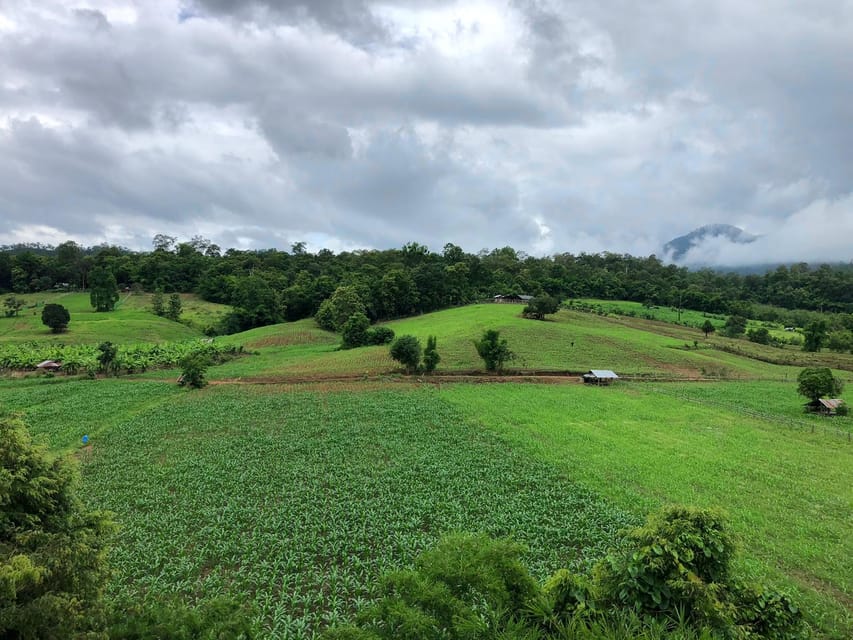 Pai: Ultimate Ziplining Adventure through the Jungle - What the 22 platforms add to the outing