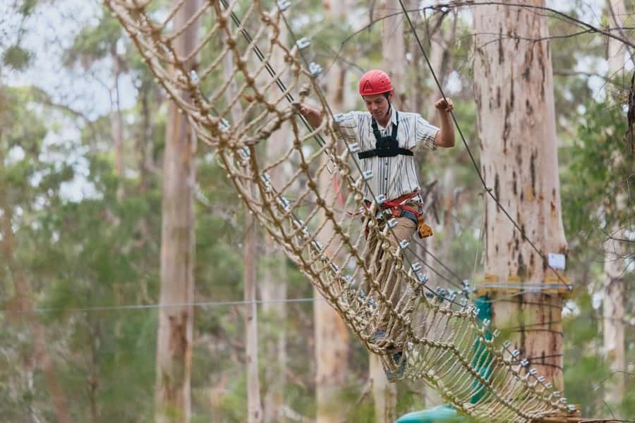Pemberton: 2.5h Ultimate Ziplines & High Ropes Experience - The real challenge: height, balance, and commitment