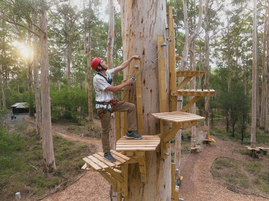 Pemberton: 2.5h Ultimate Ziplines & High Ropes Experience - Staff, safety, and confidence on the course