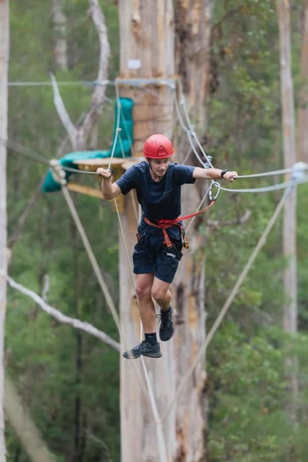 Pemberton: 2.5h Ultimate Ziplines & High Ropes Experience - Is $46 good value?