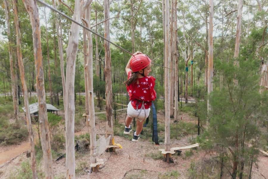 Pemberton: 2.5h Ultimate Ziplines & High Ropes Experience - Should you book it?