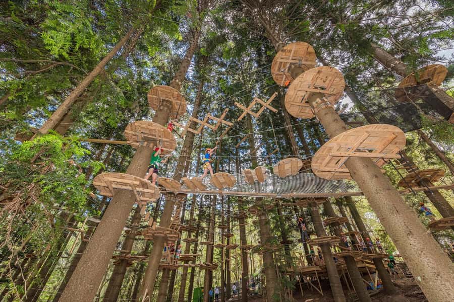 Pennant Hills: Tree Ropes Course Session - Four courses in the Cumberland State Forest