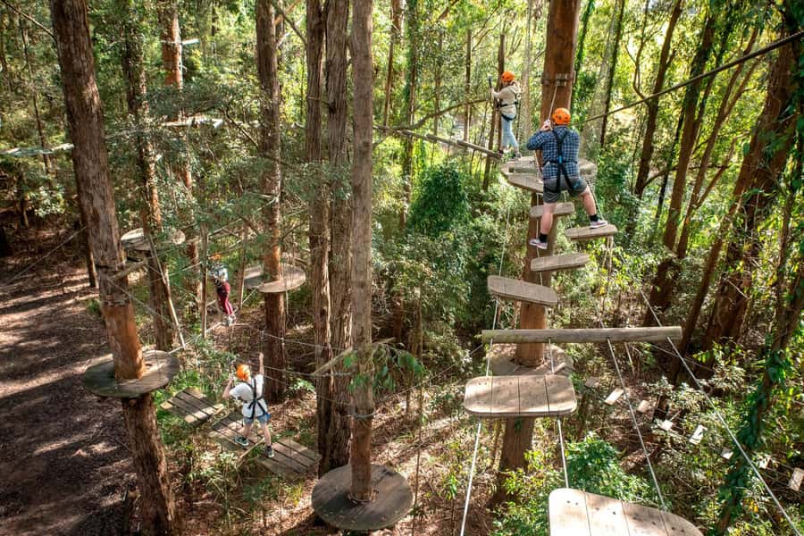 Pennant Hills: Tree Ropes Course Session - The 30-minute arrival and forest walk
