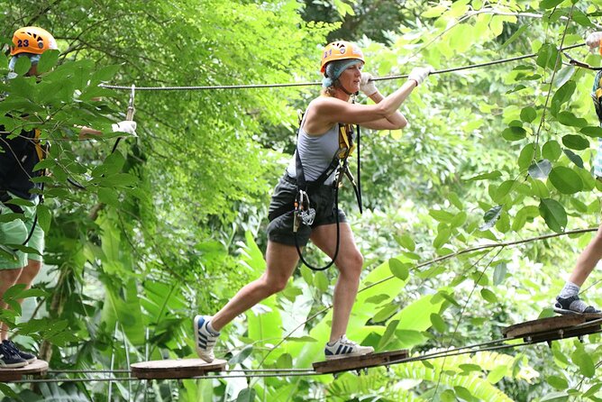 Phoenix Adventure Park Zipline, High Rope Course In Chiang Mai - Why the tropical setting matters
