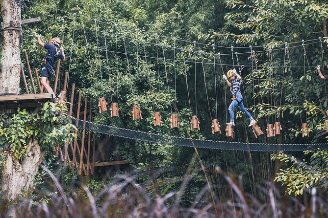 Phoenix Zipline Adventure Park – Chiang Mai Thrills - Choosing between 10, 24, and 20 platforms