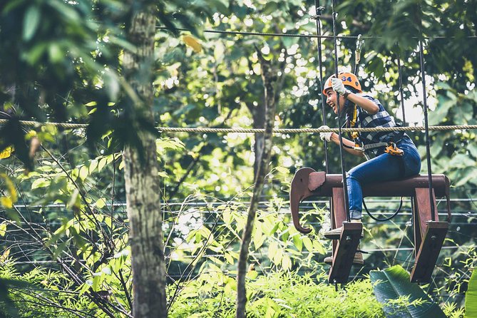 Phoenix Zipline Adventure Park – Chiang Mai Thrills - The family question: ages, height, and effort
