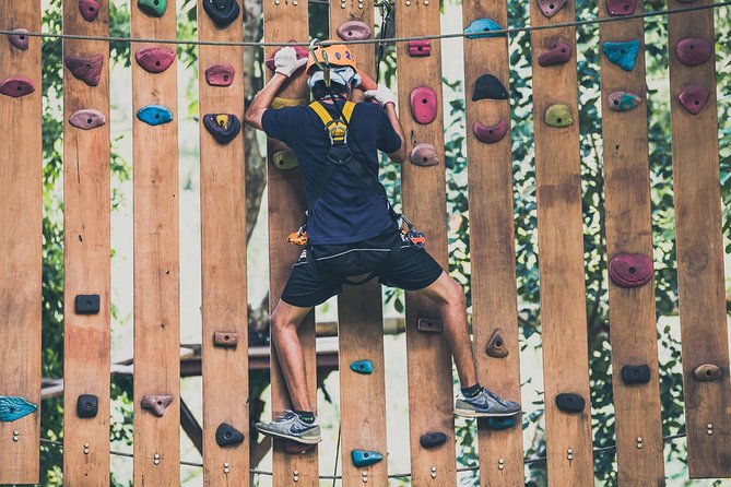 Phoenix Zipline Adventure Park – Chiang Mai Thrills - Why the forest setting matters