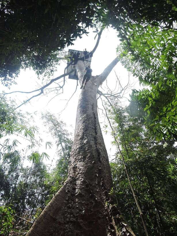 Phuket: Big Buddha Viewpoint ATV Tour and Zipline Adventure - Is $32 good value for Phuket?