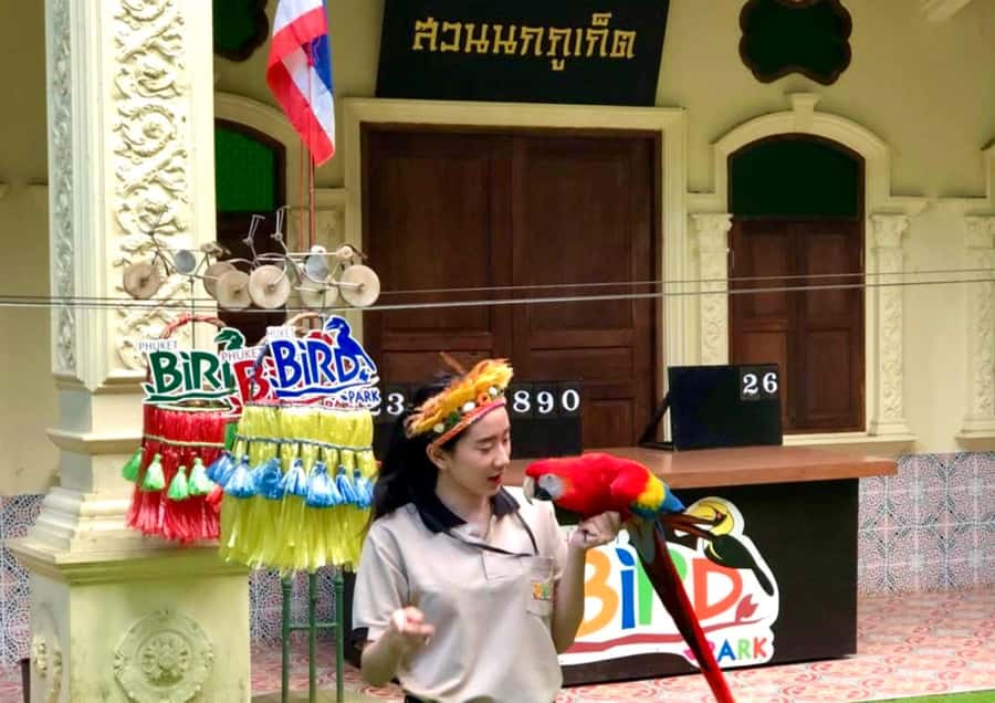 Phuket: Bird Park, Elephant Feeding, ATV Ride & City Tour - How the $112 price holds up