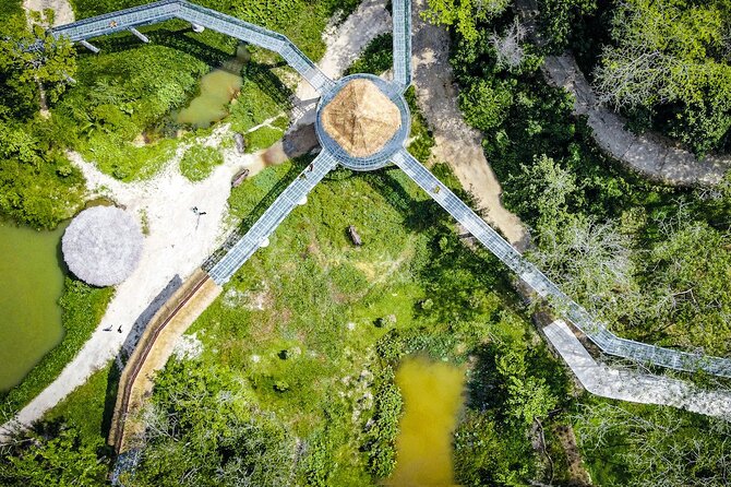 Phuket: Elephant Sanctuary Canopy Walkway Tour - Meeting the elephants from a respectful distance