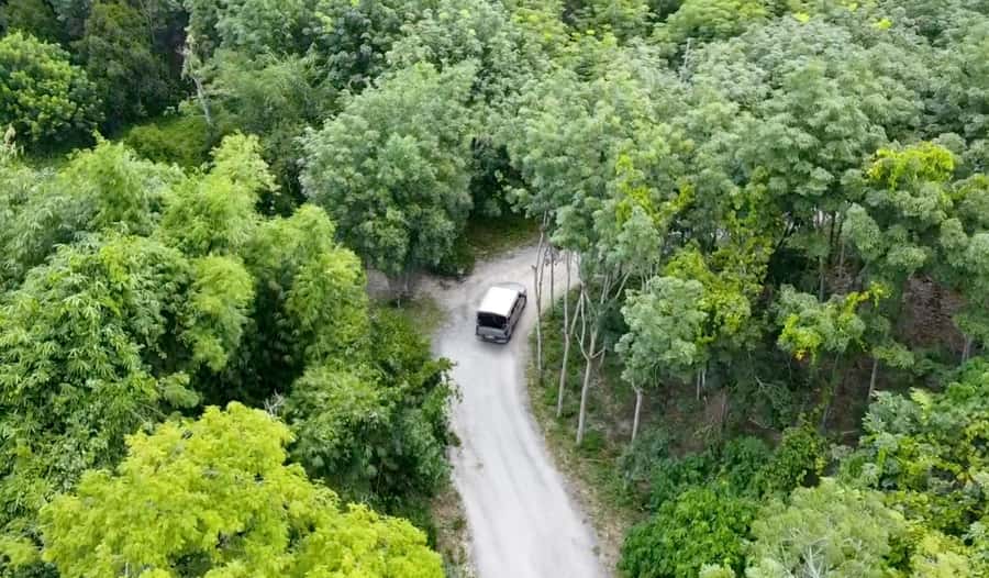 Phuket: Elephant Sanctuary Canopy Walkway Tour - What you see along the 500-meter route