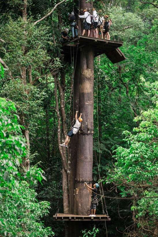 Phuket: Flying Hanuman Zipline Adventure - Into Phuket’s forest canopy