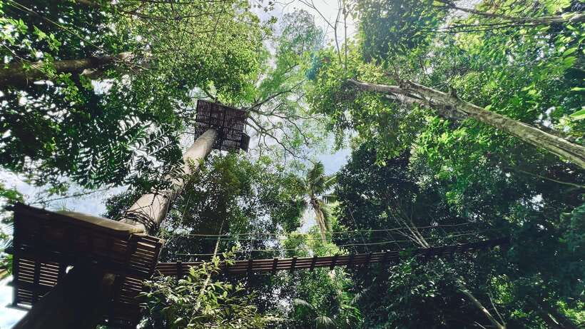 Phuket: Flying Hanuman Zipline Adventure - Photos, food, and the extras