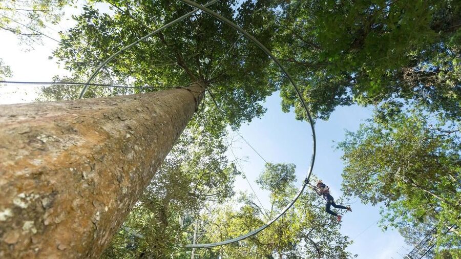 Phuket: Hanuman World Zip Line Adventure - Timing, comfort, and small practical details