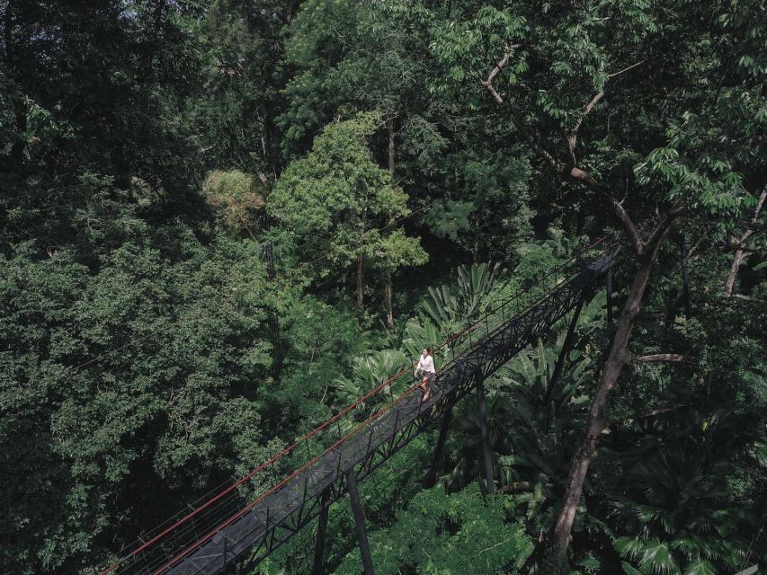 Phuket: Hanuman World Zip Line Adventure - What the 16 zip-lines feel like