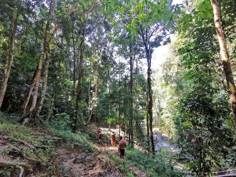 Phuket: Monkey Cave, Water Rafting, Zipline with ATV Option - A short zipline over the forest