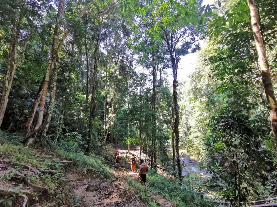 Phuket: Monkey Cave, Water Rafting, Zipline with ATV Option - Is the $44 price good value?