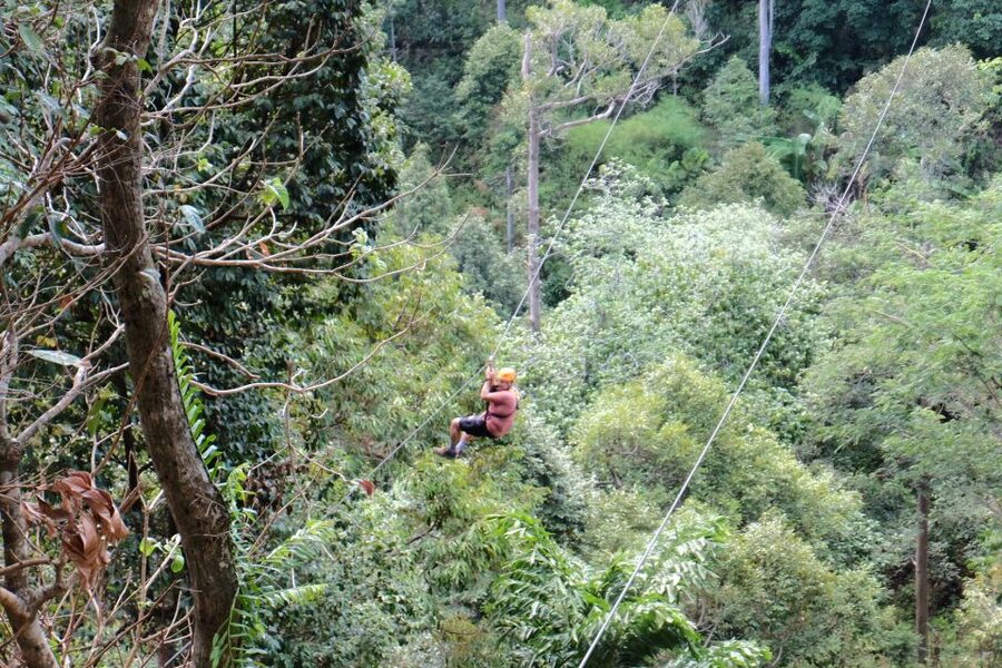 Phuket: Paradise Jungle Zipline Adventure - Transport can shape your day