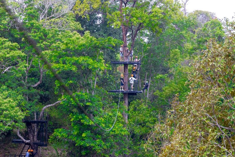 Phuket: Rainforest Eco Zipline Expedition - Flying above Phuket’s old trees