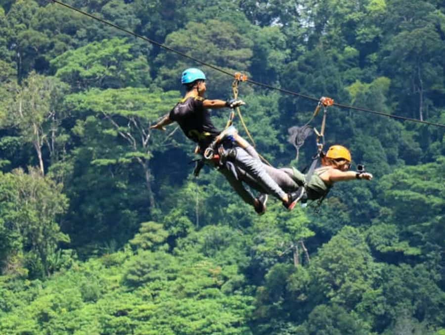 Phuket Skyline Adventure Ziplines - How the safety setup affects your visit