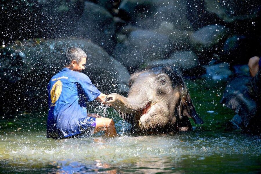 Phuket: White Water Rafting, Zipline, and Elephant Sanctuary - Guides, transport, and the way the day feels