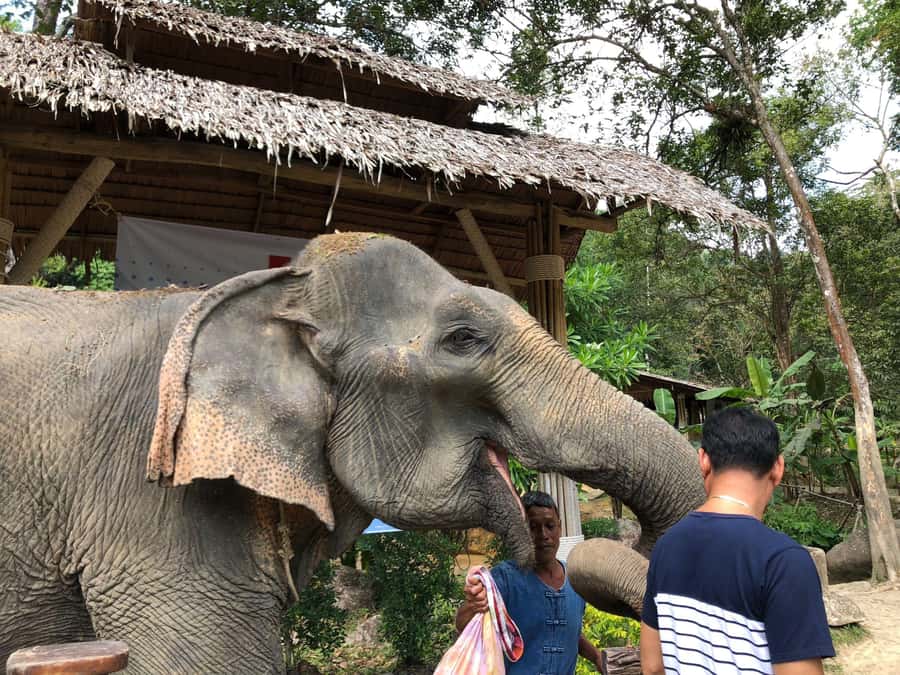 Phuket: White Water Rafting, Zipline, and Elephant Sanctuary - What to pack for a wet and muddy day