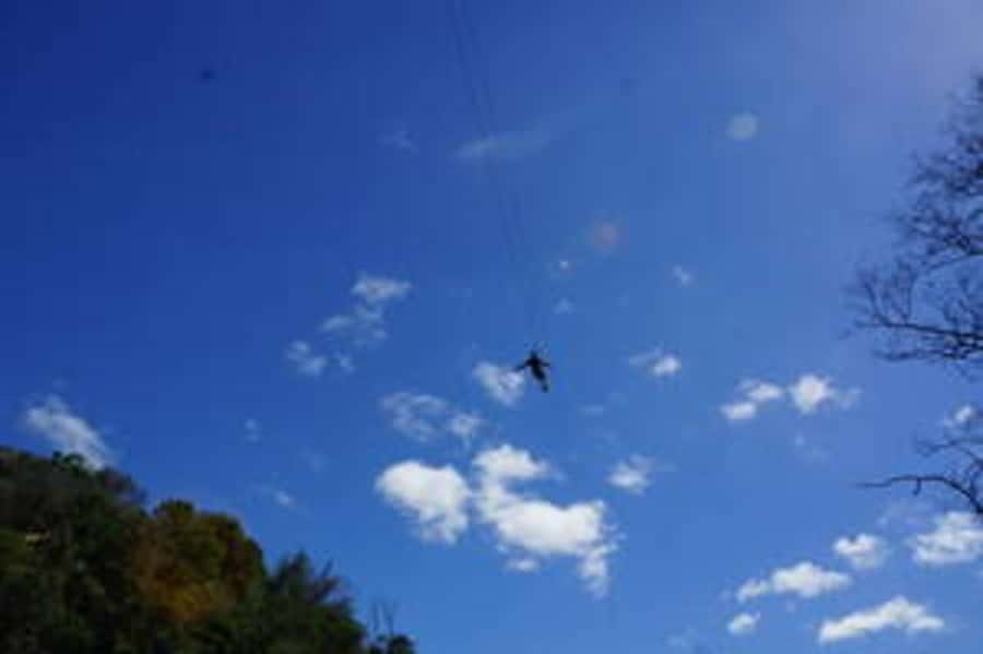 Plettenberg: 2-Hour Zipline Tour - How long does the two-hour tour really take?