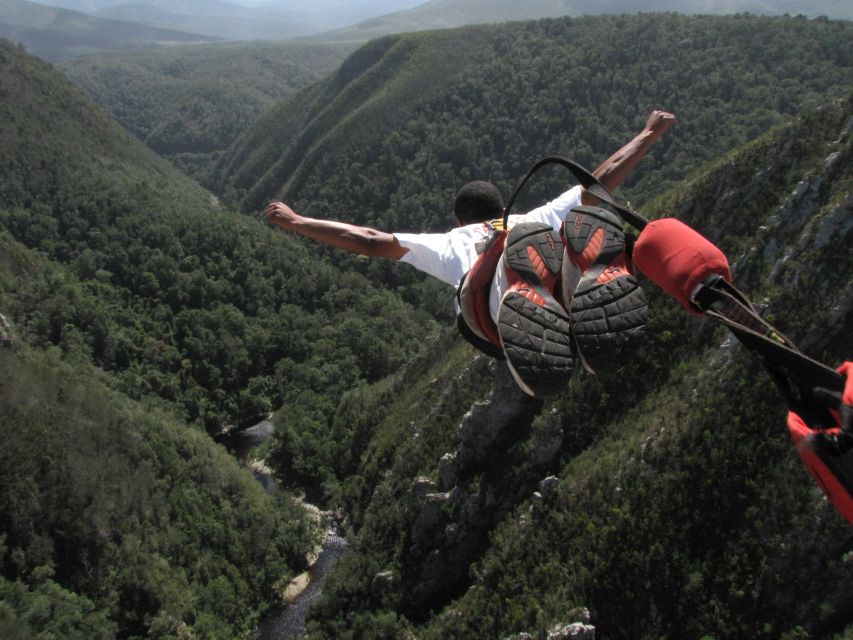 Plettenberg Bay: Bungee Jumping with Zipline and Sky Walk - Harness checks and the final step