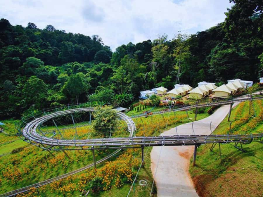 Pongyang Jungle Coaster & Zipline (Transfer) - A forest ride with two distinct moods