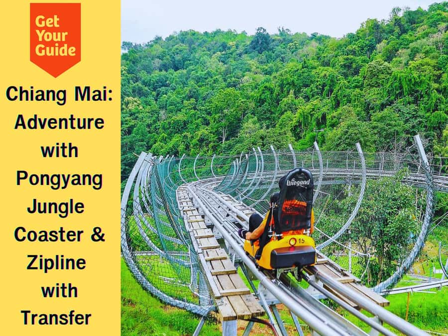 Pongyang Jungle Coaster & Zipline (Transfer) - The Pongyang Jungle Coaster