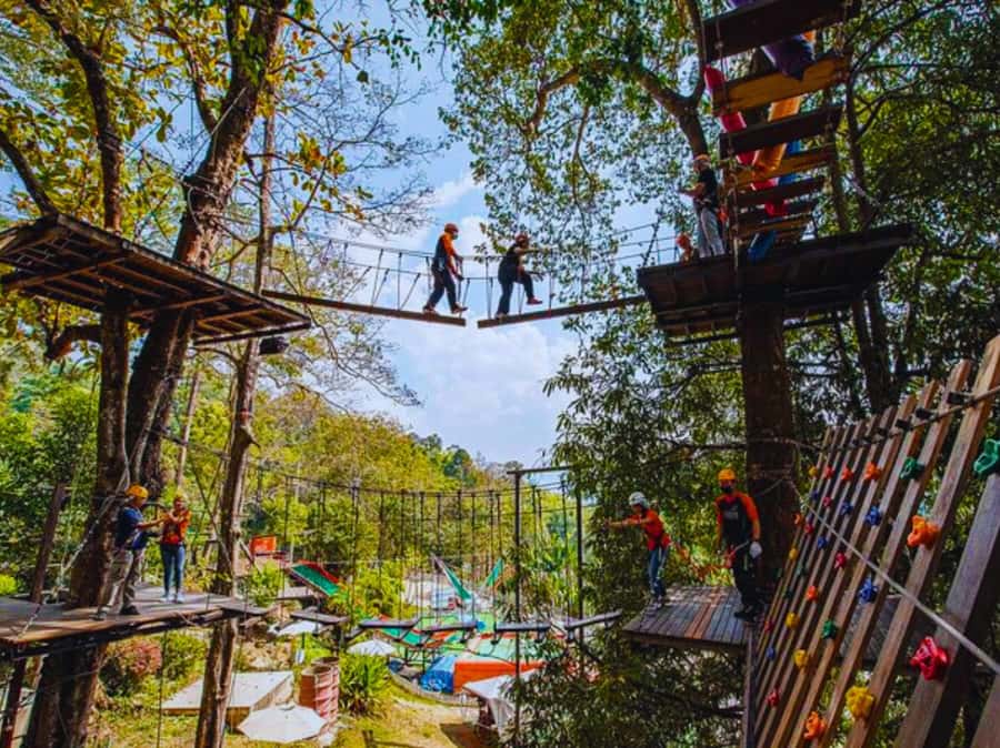 Pongyang Jungle Coaster & Zipline (Transfer) - Getting there from Chiang Mai